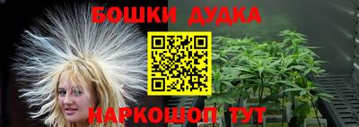 стаф Можга