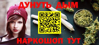 стаф Можга