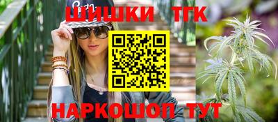 стаф Можга