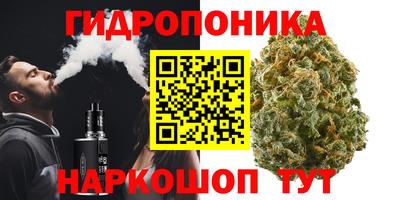 стаф Можга