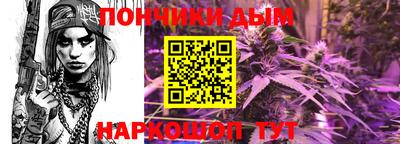 стаф Можга