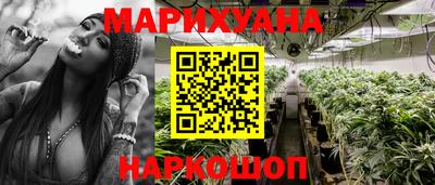 стаф Можга